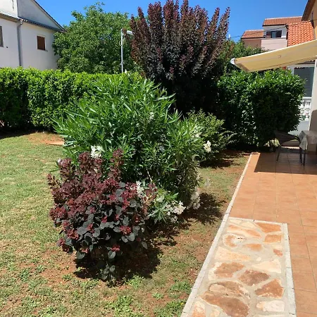 App Trinodis * Башания