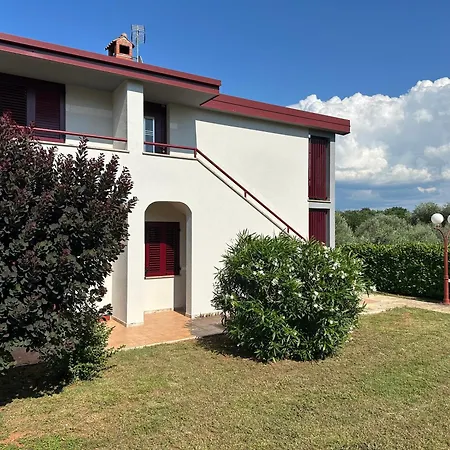 App Trinodis Apartament *