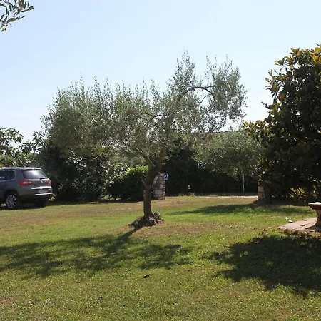 Apartament App Trinodis *
