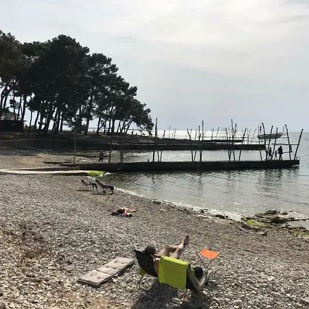 App Trinodis Башания