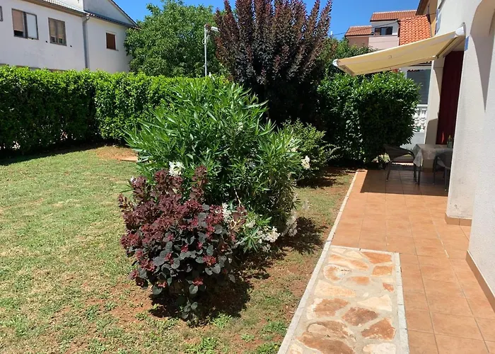 App Trinodis * Bašanija