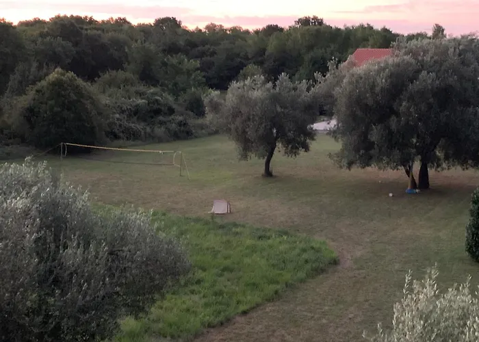 App Trinodis * Bašanija