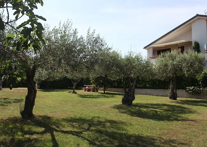 App Trinodis 아파트