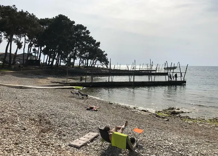 App Trinodis Bašanija