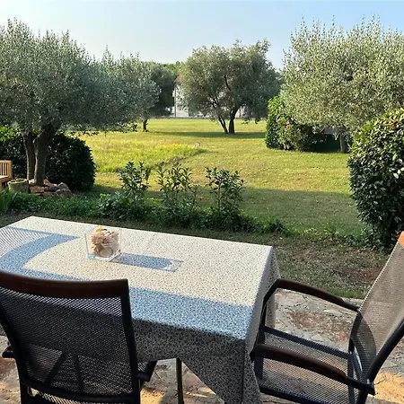 Apartment App Trinodis *