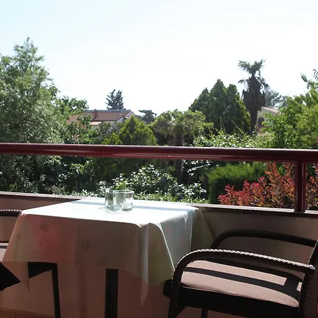 App Trinodis Bašanija