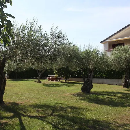 App Trinodis Apartamento