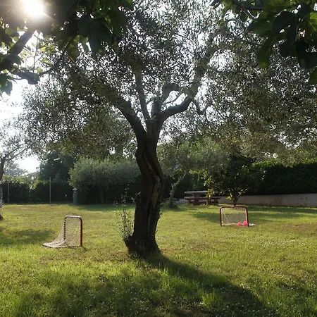App Trinodis