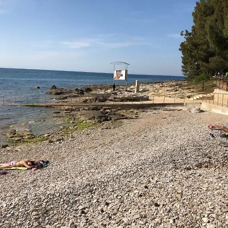 Apartment App Trinodis